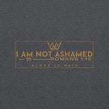 I AM NOT ASHAMED SWEATSHIRT (STYLE GOLD EDITION-W)