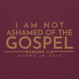 I AM NOT ASHAMED OF THE GOSPEL SWEATSHIRT (GOLD EDITION)!