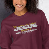 JESUS - HIS EXAMPLE WAS FLAWLESS! SWEATSHIRT (FAV!!!)