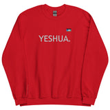 YESUHA MESSENGER