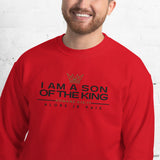 I AM A SON OF THE KING SWEATSHIRT