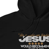 JESUS - HIS EXAMPLE WAS FLAWLESS  HOODIE *BLESS