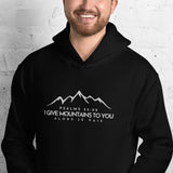 MOUNTAINS HOODIE *BLESS-CC