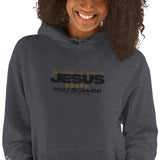 JESUS - HIS EXAMPLE WAS FLAWLESS HOODIE *WRSHP