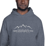 MOUNTAINS HOODIE *BLESS