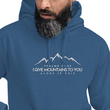 MOUNTAINS HOODIE *BLESS