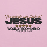 JESUS - HIS EXAMPLE WAS FLAWLESS HOODIE *WRSHP