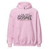 I AM NOT ASHAMED OF THE GOSPEL HOODIE *WRSHP-2