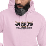 JESUS - HIS EXAMPLE WAS FLAWLESS HOODIE *WRSHP