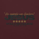 JESUS - HIS EXAMPLE WAS FLAWLESS HOODIE *WRSHP