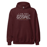 I AM NOT ASHAMED OF THE GOSPEL HOODIE *BLESS