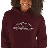 MOUNTAINS HOODIE *BLESS-CC