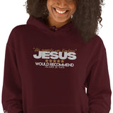 JESUS - HIS EXAMPLE WAS FLAWLESS  HOODIE *BLESS