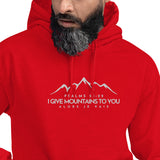 MOUNTAINS HOODIE *BLESS