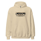 JESUS - HIS EXAMPLE WAS FLAWLESS HOODIE *WRSHP