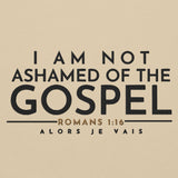 I AM NOT ASHAMED OF THE GOSPEL HOODIE *WRSHP-2