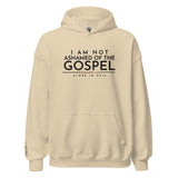 I AM NOT ASHAMED OF THE GOSPEL HOODIE *WRSHP-2