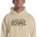 I AM NOT ASHAMED OF THE GOSPEL HOODIE *WRSHP-2