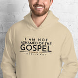 I AM NOT ASHAMED OF THE GOSPEL HOODIE *WRSHP-2