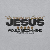 JESUS - HIS EXAMPLE WAS FLAWLESS HOODIE *WRSHP