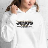 JESUS - HIS EXAMPLE WAS FLAWLESS HOODIE *WRSHP