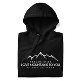 MOUNTAINS LUXURY BLESS HOODIE