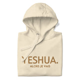 YESHUA GOLD LUX HOODIE