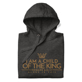 GOLD CHILD OF THE KING LUXURY HOODIE STYLE WORSHIP