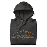 MOUNTAIN GOLD LUXURY HOODIE STYLE BLESS