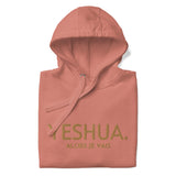 YESHUA GOLD LUX HOODIE