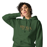 YESHUA GOLD LUX HOODIE