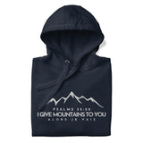 MOUNTAINS LUXURY BLESS HOODIE