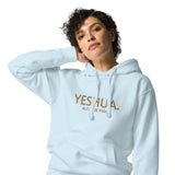 YESHUA GOLD LUX HOODIE