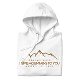 MOUNTAIN GOLD LUXURY HOODIE STYLE BLESS