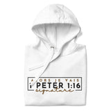 1 PETER 1:16 - SIGNATURE WORSHIP LUX HOODIE