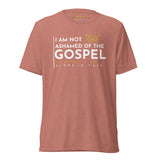 I AM NOT AHAMED OF THE GOSPEL (2) UNISEX TEE