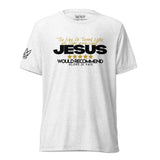 JESUS, WATER AND WINE AJV TEE -WINE-